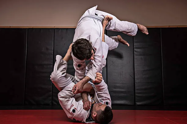 Bushi Ban Martial Arts & Fitness Picture 4