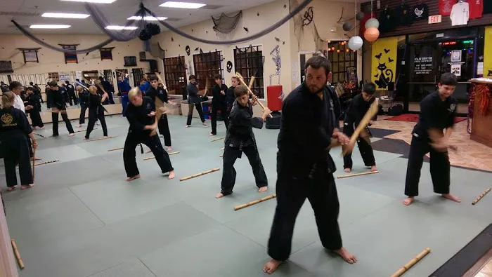 Bushi Ban Martial Arts & Fitness Picture 9