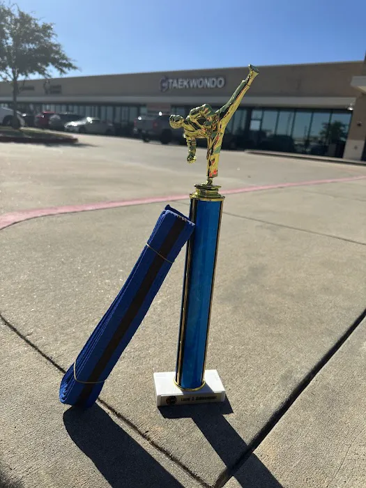 Master Min's World Champion Taekwondo Picture 4