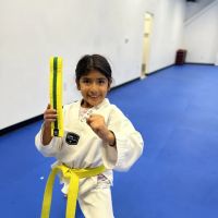 Master Min's World Champion Taekwondo ico