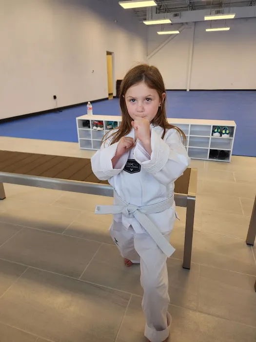 Master Min's World Champion Taekwondo Picture 3