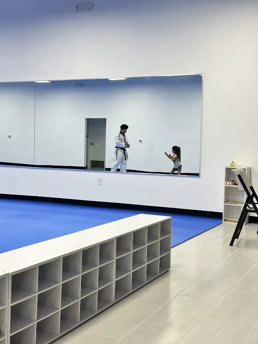 Master Min's World Champion Taekwondo Picture 9