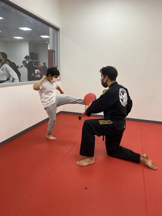 Master Min's World Champion Taekwondo Picture 5