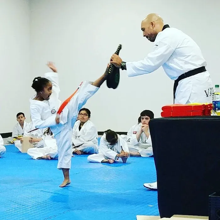 HC Taekwondo Pearland Picture 2