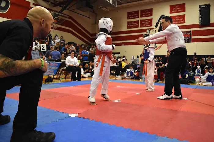 HC Taekwondo Pearland Picture 5