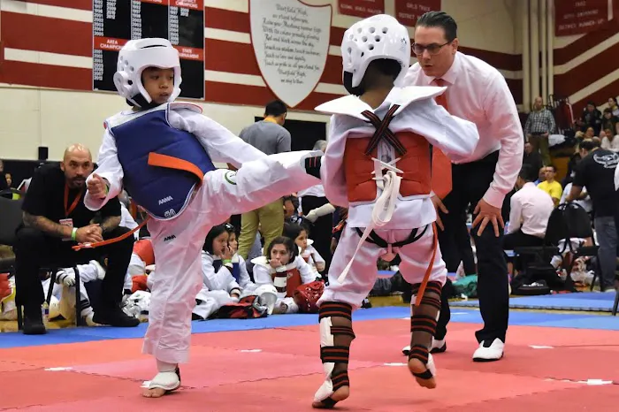 HC Taekwondo Pearland Picture 4