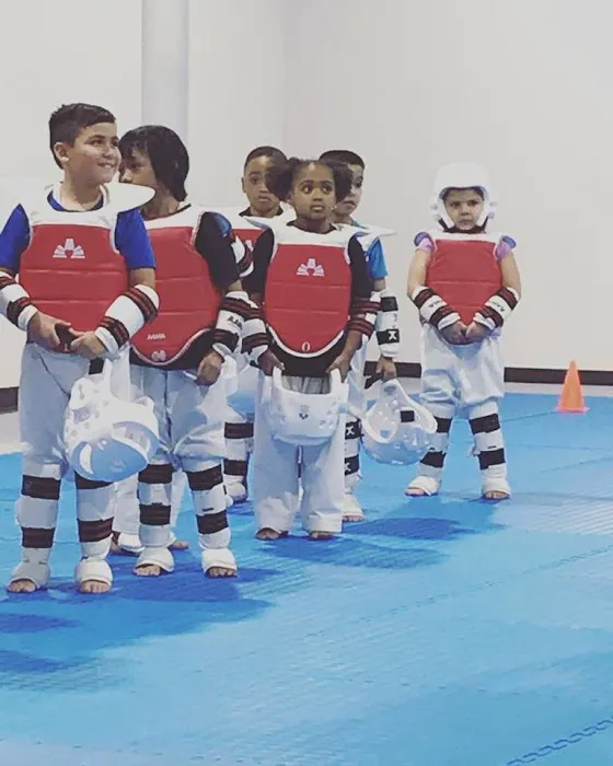 HC Taekwondo Pearland Picture 7