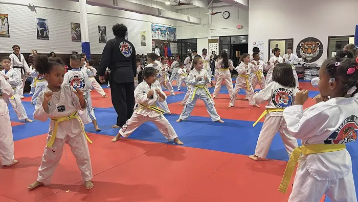 Tiger J Kim's World Class Taekwondo 4 Picture 2