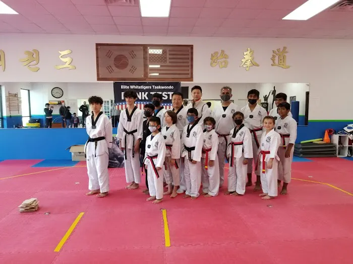 Elite Tigers Taekwondo Picture 2