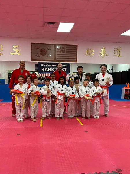 Elite Tigers Taekwondo Picture 10