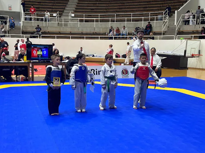 Elite Tigers Taekwondo Picture 7