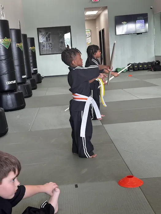 Premier Martial Arts Sienna Picture 4