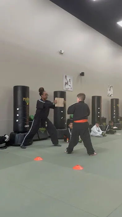 Premier Martial Arts Sienna Picture 1