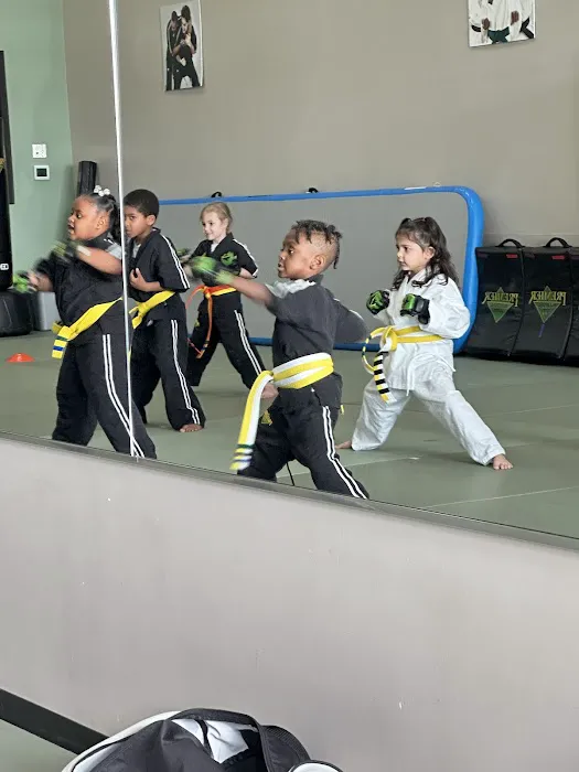 Premier Martial Arts Sienna Picture 3