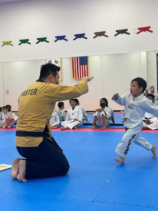 Hanguk Taekwondo Picture 1