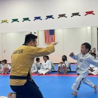 Hanguk Taekwondo ico