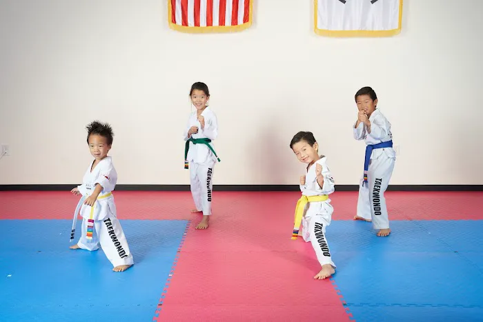 Hanguk Taekwondo Picture 2