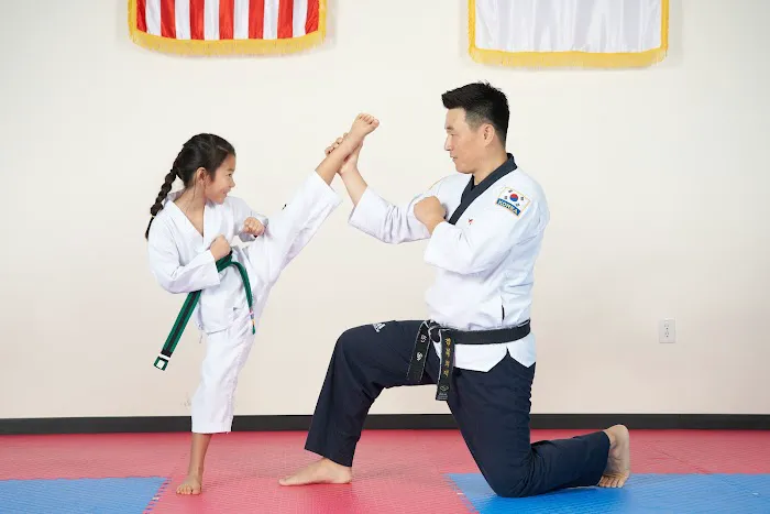 Hanguk Taekwondo Picture 9