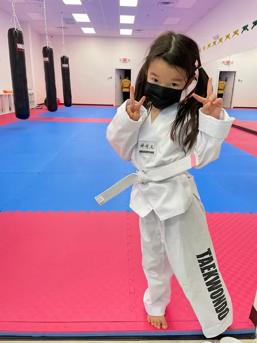 Hanguk Taekwondo Picture 7