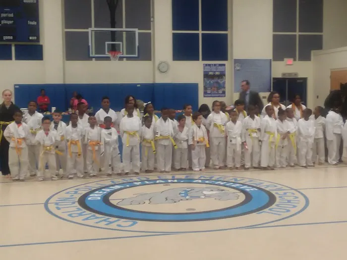 Northside Karate Picture 3