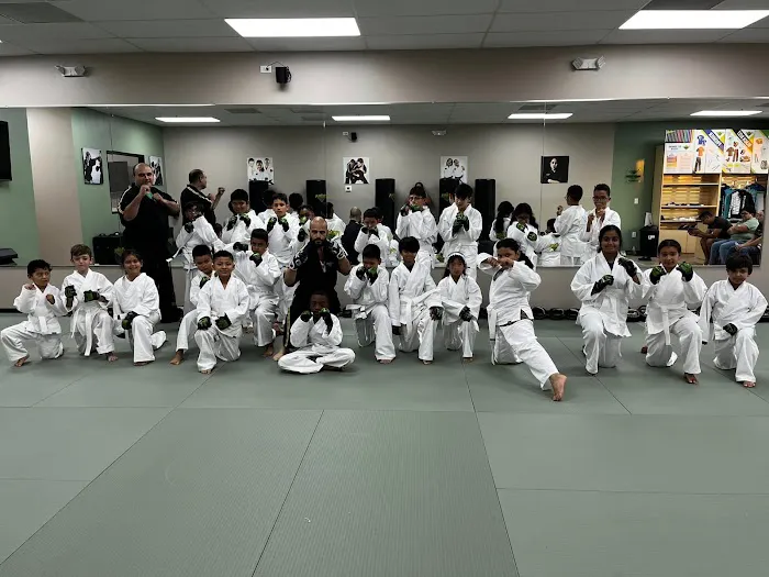 Premier Martial Arts Jersey Village Picture 1