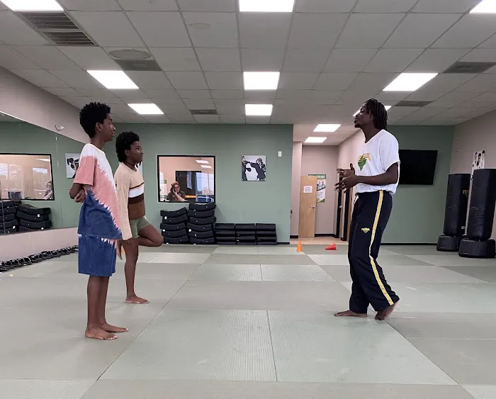 Premier Martial Arts Jersey Village Picture 4