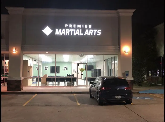 Premier Martial Arts Jersey Village Picture 5