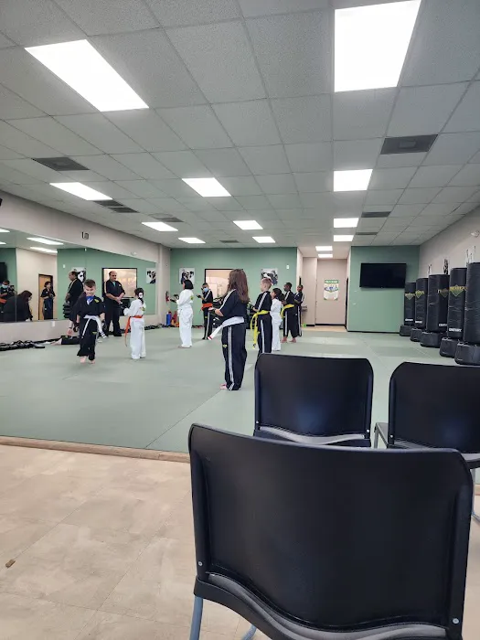Premier Martial Arts Jersey Village Picture 3