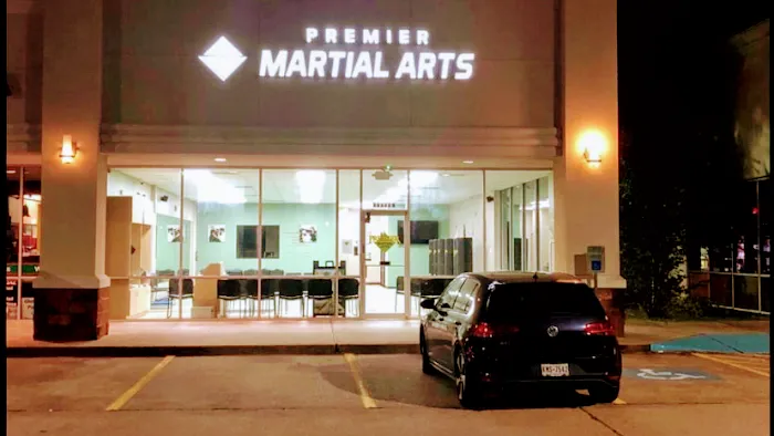 Premier Martial Arts Jersey Village Picture 10
