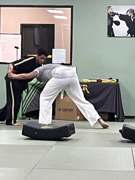 Premier Martial Arts Jersey Village Picture 8