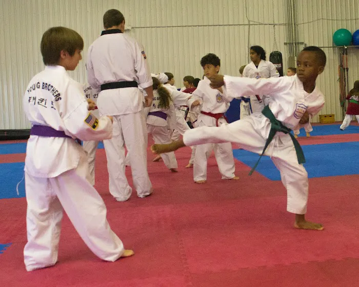 Young Brothers Taekwondo Copperfield Picture 2