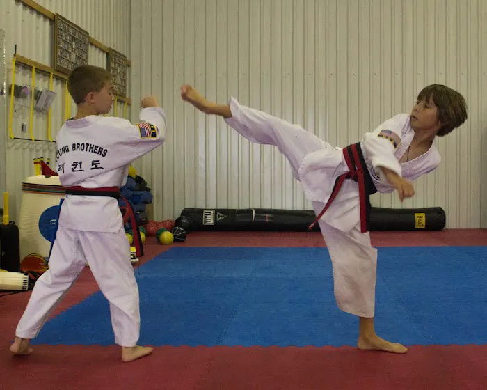 Young Brothers Taekwondo Copperfield Picture 1