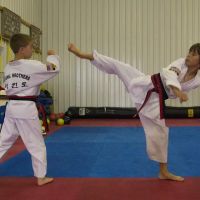 Young Brothers Taekwondo Copperfield ico