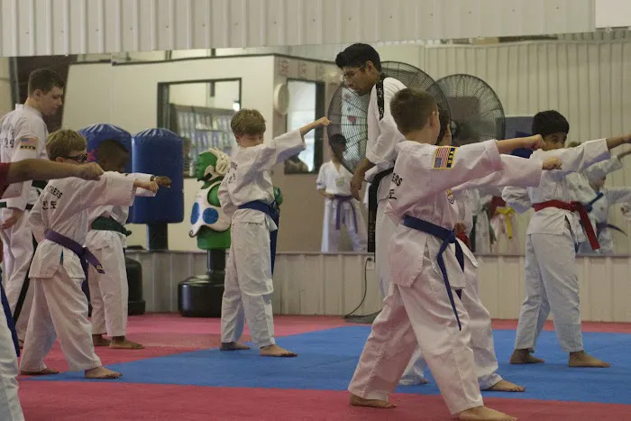 Young Brothers Taekwondo Copperfield Picture 4