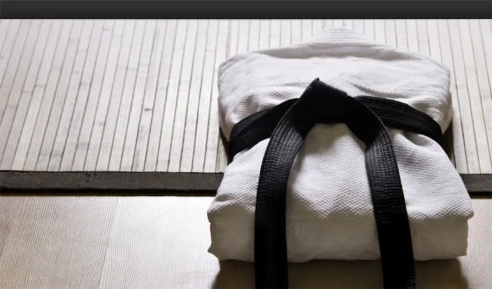 Young Brothers Taekwondo Copperfield Picture 5