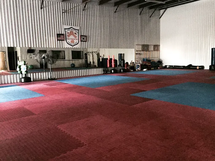 Young Brothers Taekwondo Copperfield Picture 6