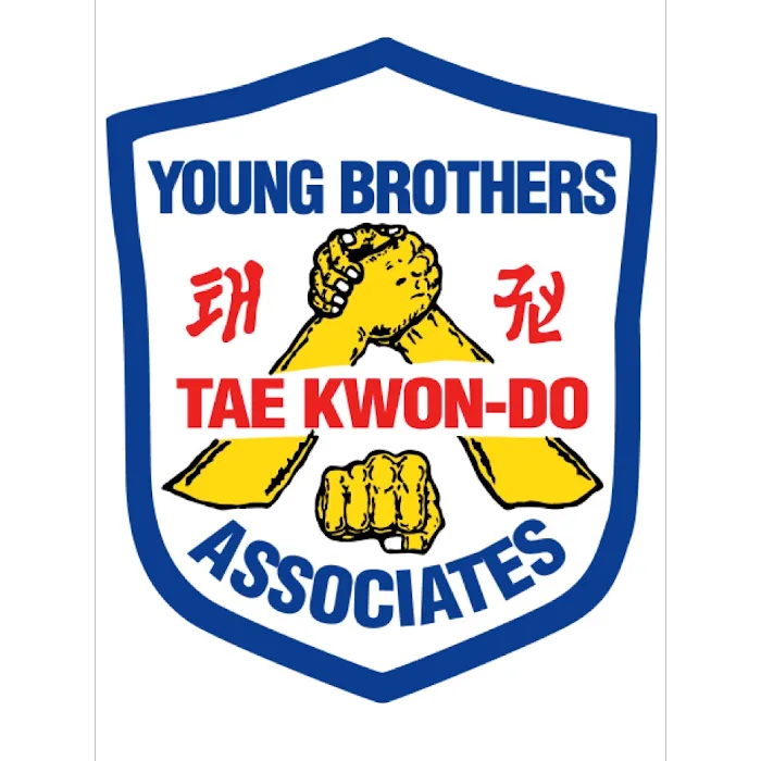 Young Brothers Taekwondo Copperfield Picture 8