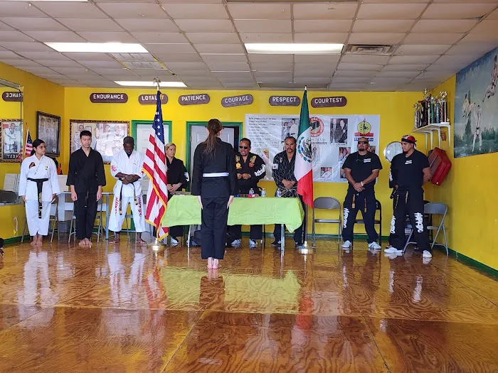 Castro's Hapkido Martial Art Picture 6