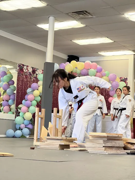 Champions TaeKwonDo Academy Picture 3