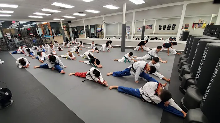 Champions TaeKwonDo Academy Picture 9