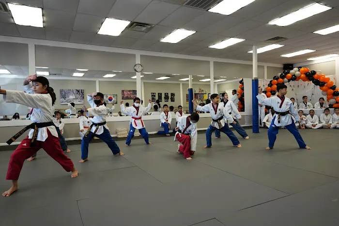 Champions TaeKwonDo Academy Picture 4