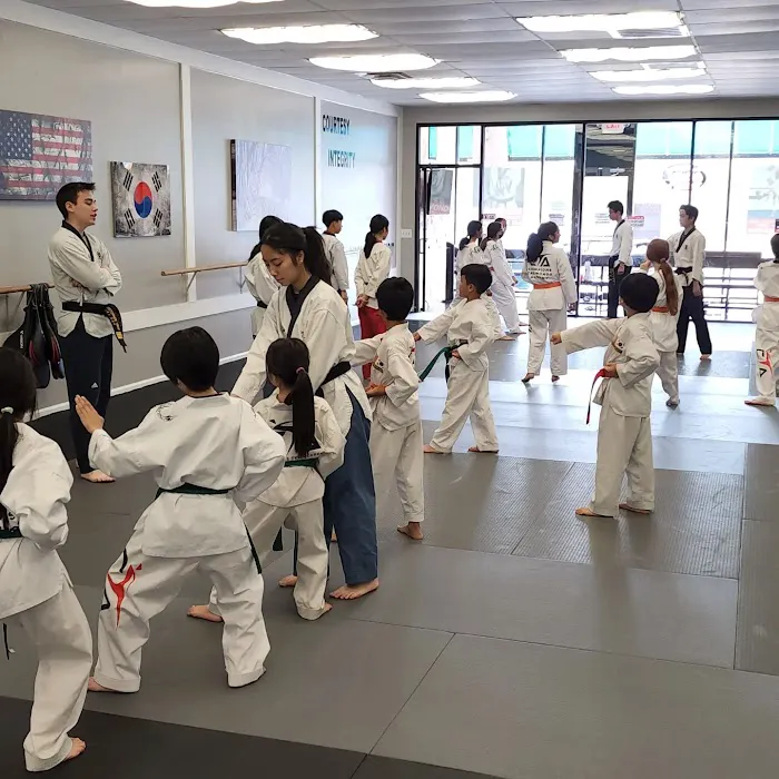 Champions TaeKwonDo Academy Picture 6