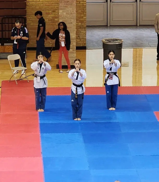 Champions TaeKwonDo Academy Picture 5