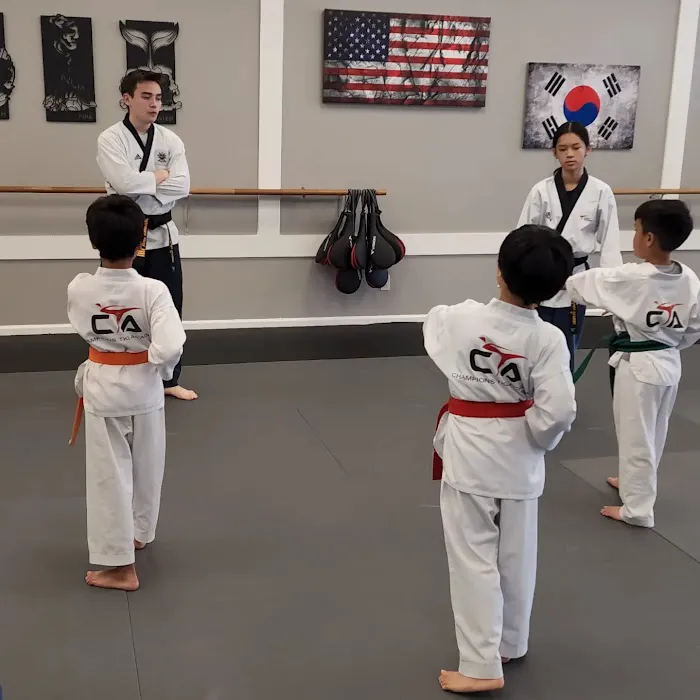 Champions TaeKwonDo Academy Picture 10