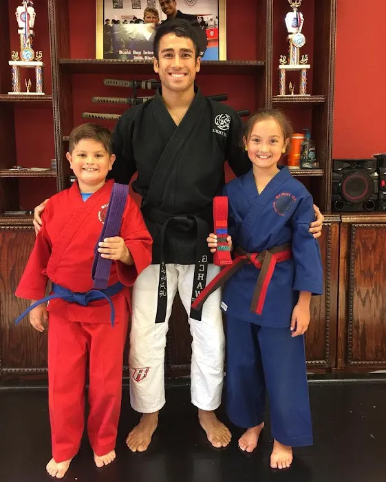 Bushi Ban Martial Arts & Fitness - Pasadena Picture 8