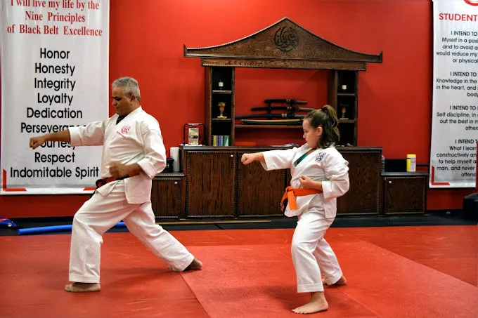 Bushi Ban Martial Arts & After School Program Picture 1