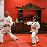Bushi Ban Martial Arts & After School Program ico
