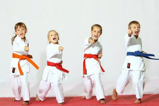 Bushi Ban Martial Arts & After School Program Picture 7