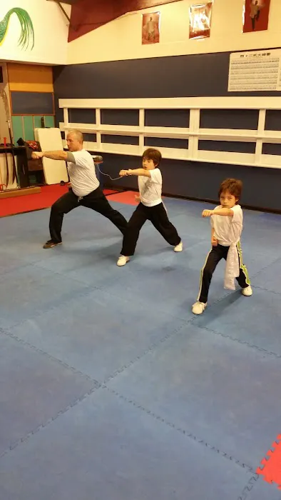 Wushu Taichi Federation Inc Picture 2