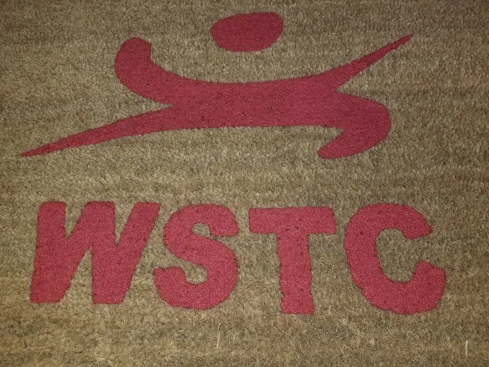 Wushu Taichi Federation Inc Picture 8